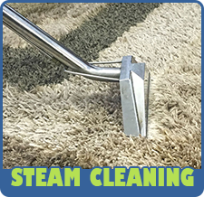 Steam Carpet Cleaning